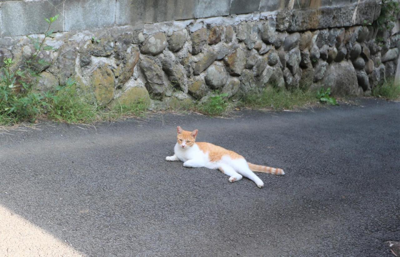 ウインザー宇佐美 이토 외부 사진